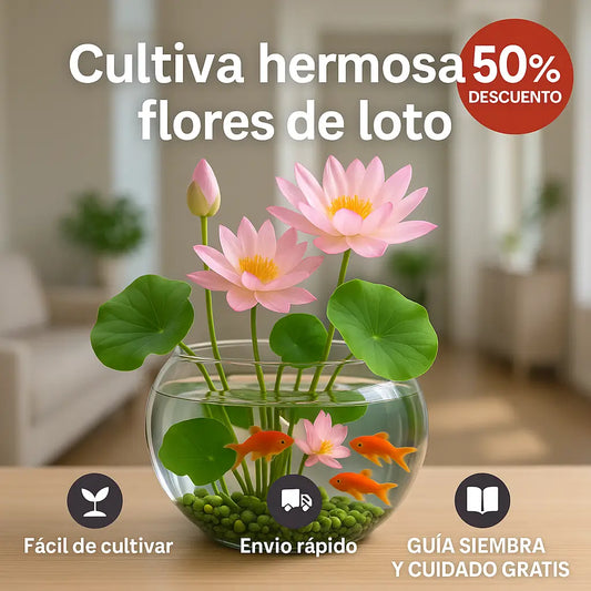 ZenLoto™ – Transforma tu espacio en un jardín de paz y GRATIS guía de cuidado