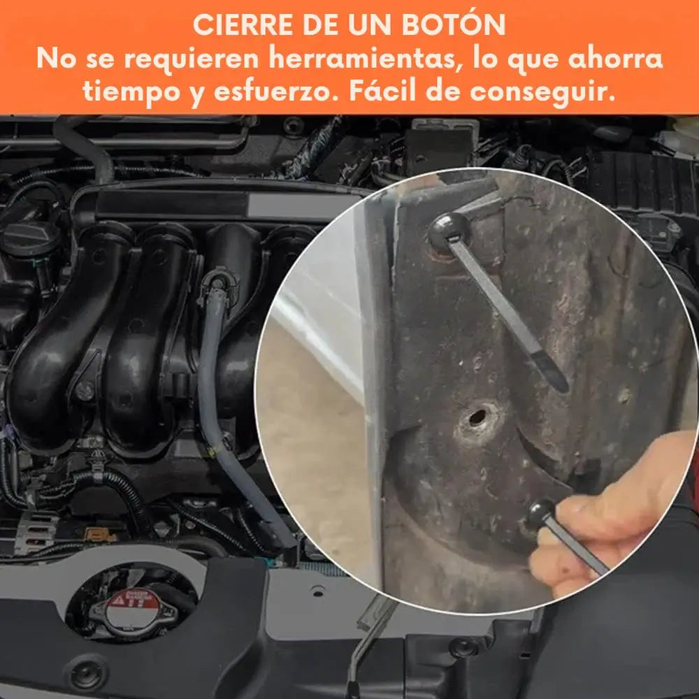 Encabezado