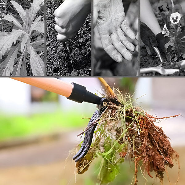 Rootnik™ – Elimina maleza desde la raíz sin esfuerzo y sin químicos