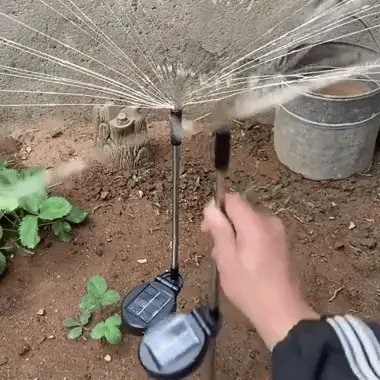 Luces Mágicas de Jardín